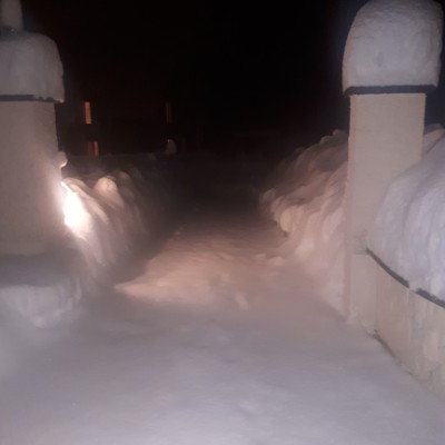 Power Walkers alfan post image