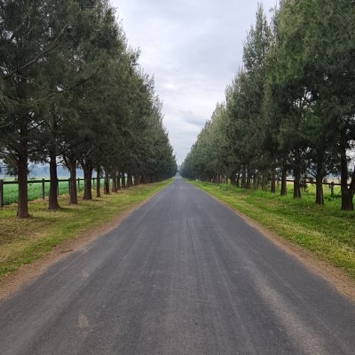 David Dunshea post 2