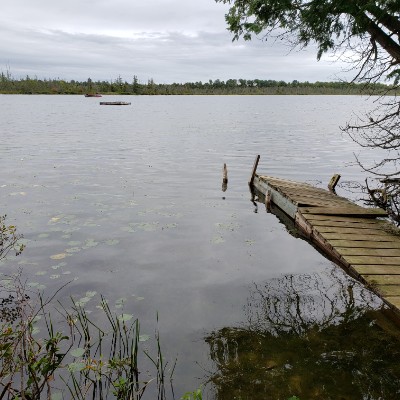 Brenda MacIntosh post 1