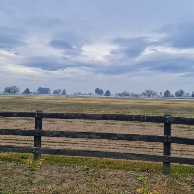 David Dunshea post 1