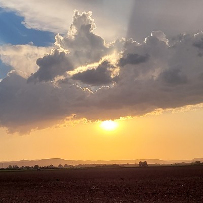 Chris Wiedeman  post 1