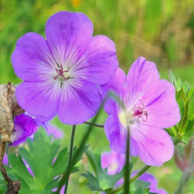 Matt S🏃‍♂️🏃‍♂️🏃‍♂️⏪🚶‍♂️ post 2