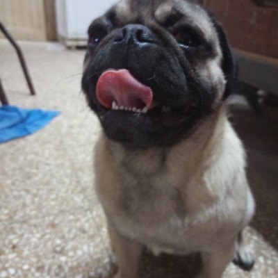 Vamos a bajar unas cuantas calor Angel post image