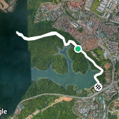 MacRitchie Reservoir Park