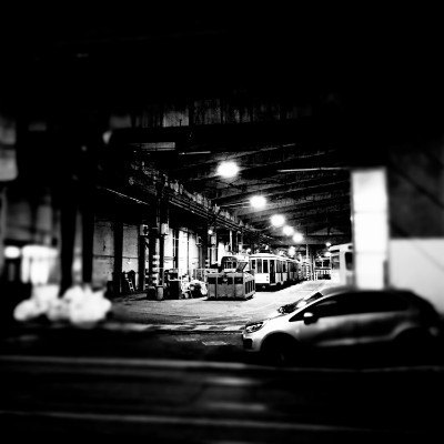 LET'S WALK SLOWLY Rosy⚔️🛡️🏰 post image