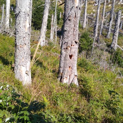 schmidtkatja14 post 1