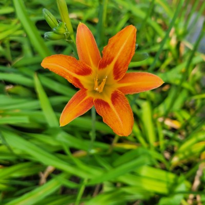 🍀해랑🍀 post 2