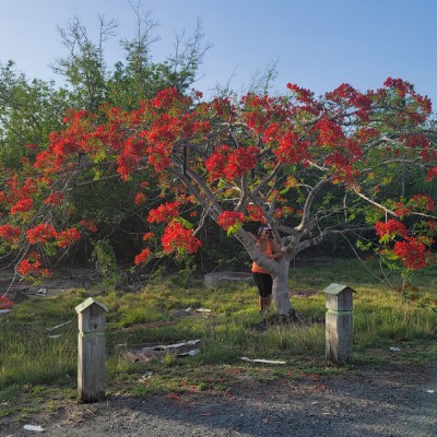 YAKELYNNA 🇵🇷🇵🇷 post 1