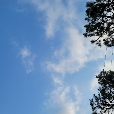 🍀해랑🍀 post 2