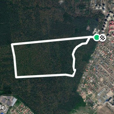 Панаса Мирного вулиця - коло в лісі