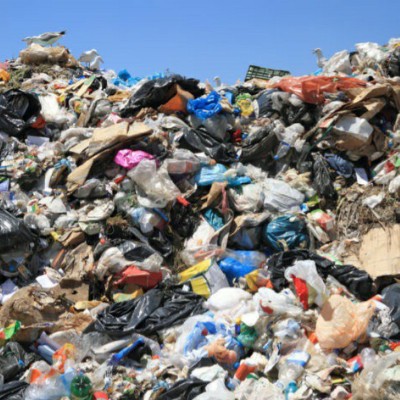 Beck Morrison post 1