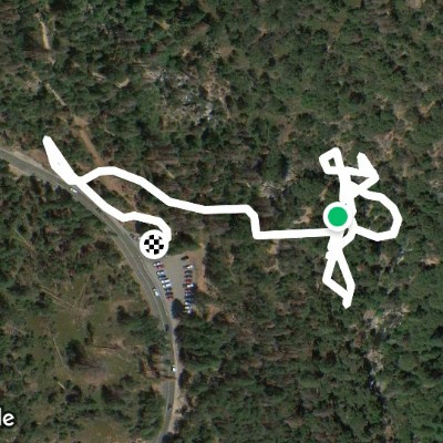 Sierra National Forest Lewis Creek Trail.