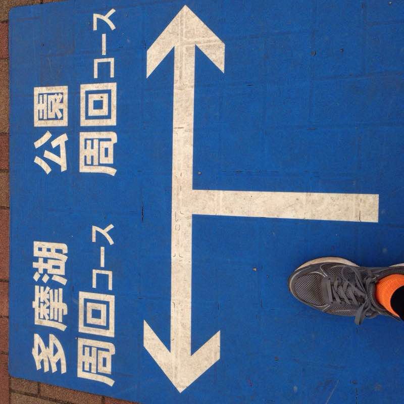 多摩湖周回ルート