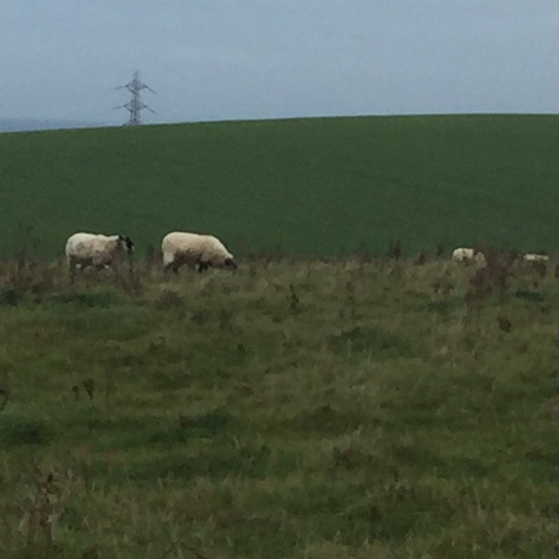 Devils Dyke Trail walking route map in Cudworth