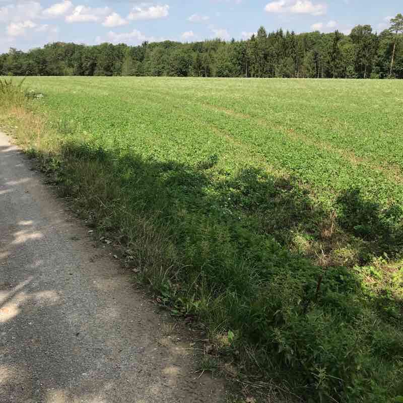 District walking route map in Markt Erlbach