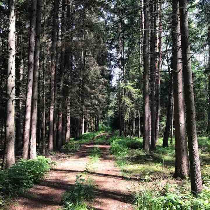 Walk near Emslkirchen walking route map in Emskirchen