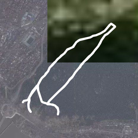 Сосновый Бор