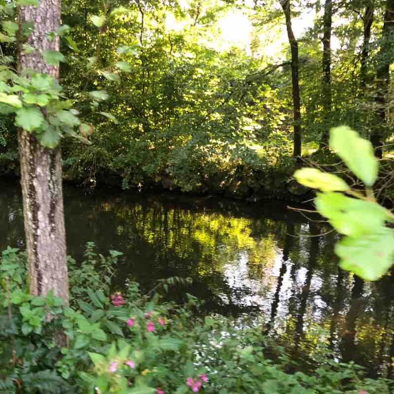 A Ursberg walking route map in Thannhausen