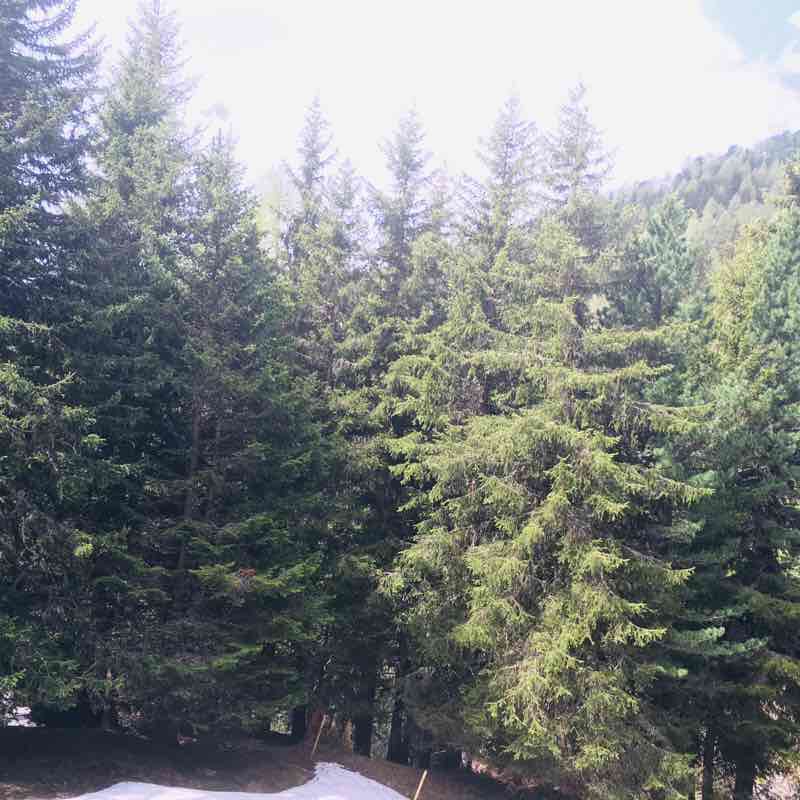 Schatzp walking route map in Davos Platz