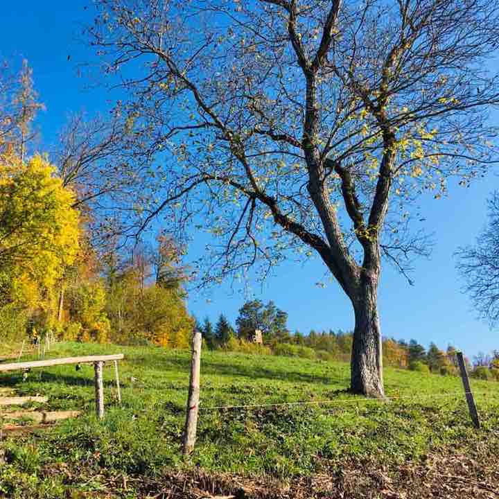 Gasweg Chlosters Roundtrip walking route map in Rheinfelden