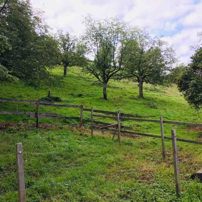 Römerstrasse- Kaiseraugst- Baselrstrasse