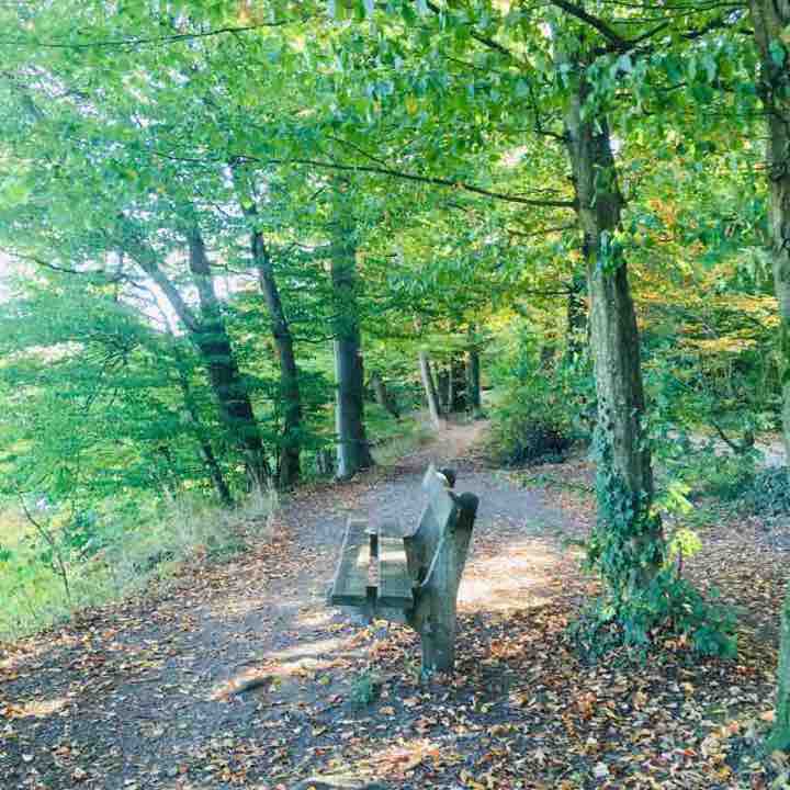 Other Saline walking route map in Rheinfelden