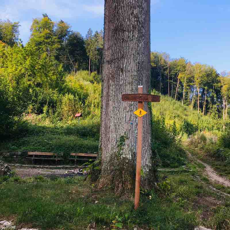 Bergweg- Chloster- Kaiseraugst walking route map in Rheinfelden