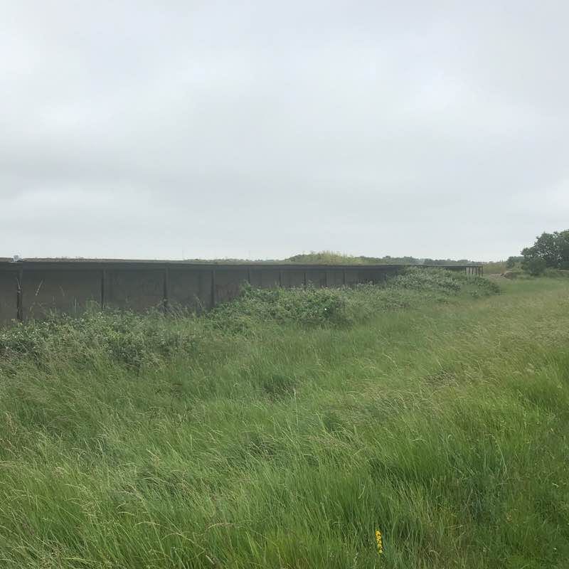 Barton’s point around the edges
