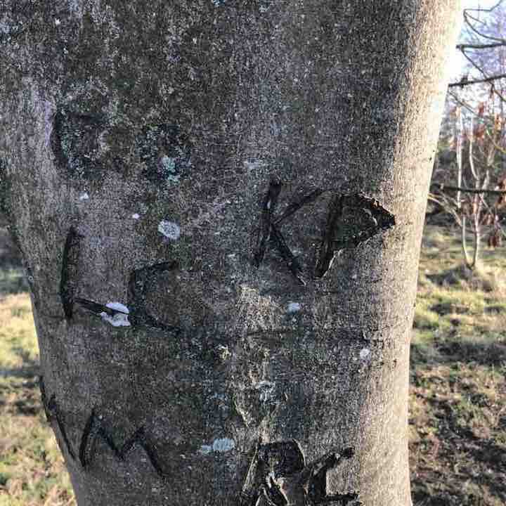 Aycliffe walk walking route map in Rushyford