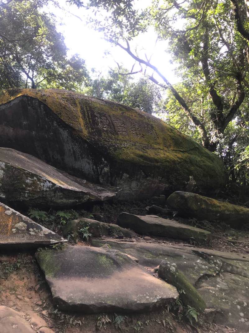 walking near me on 草岭古道-哑口-桃源谷-回程 walking route