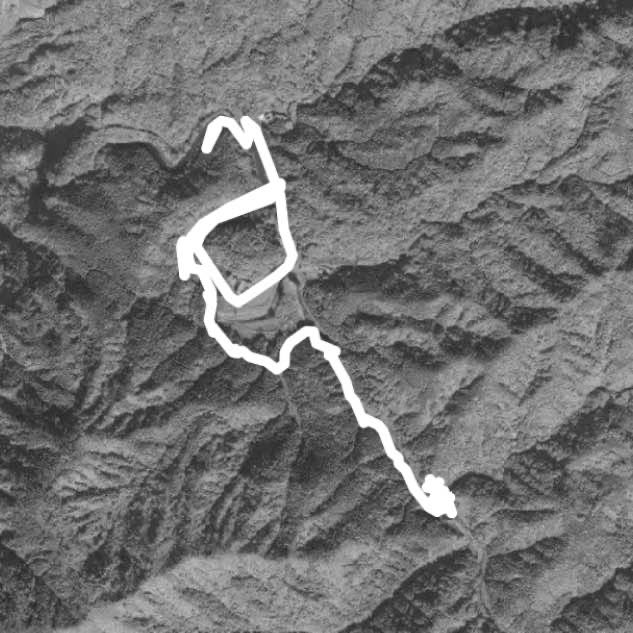 衫林溪 鬱金香節