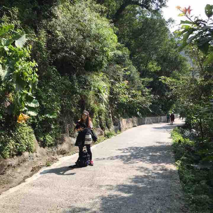 聖母山莊登山步道