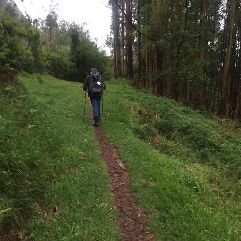 Lourenzá-Abadín walking route map in Lourenzá