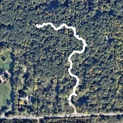 Scio Preserve Trail Blu to Red Washtenaw Park Hike