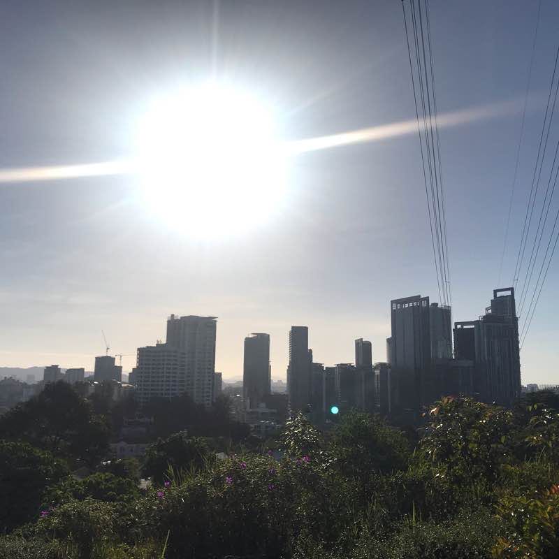 Jalan Taban Morning Dog Walk