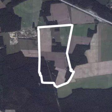 Circular route through forest and corridor 🐶 walking route map in Kloster Lehnin