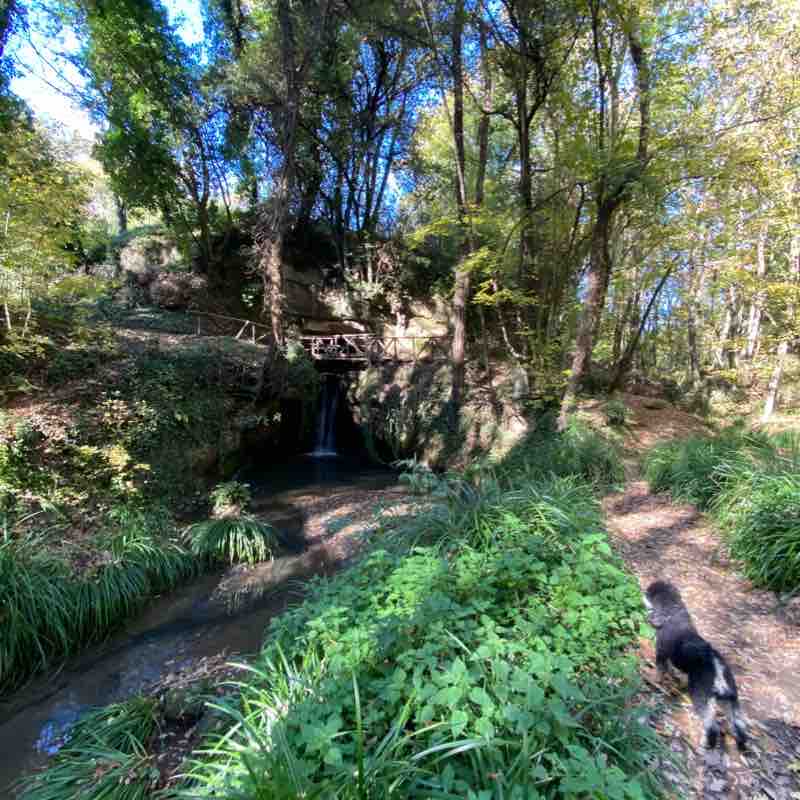 Parco di Veio 1