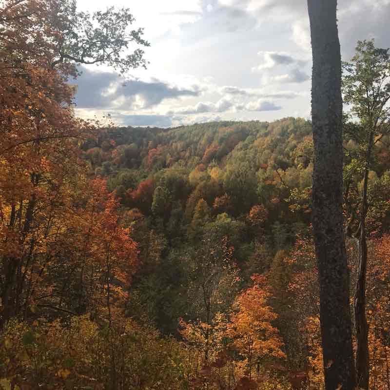 Karmazins Cognitive Trail walking route map in Dūkštos