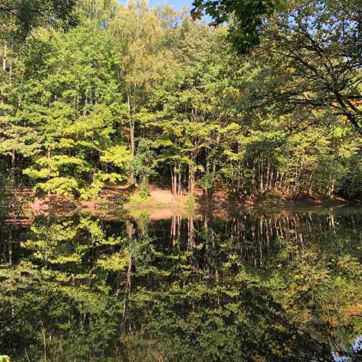 Наедине с собой 