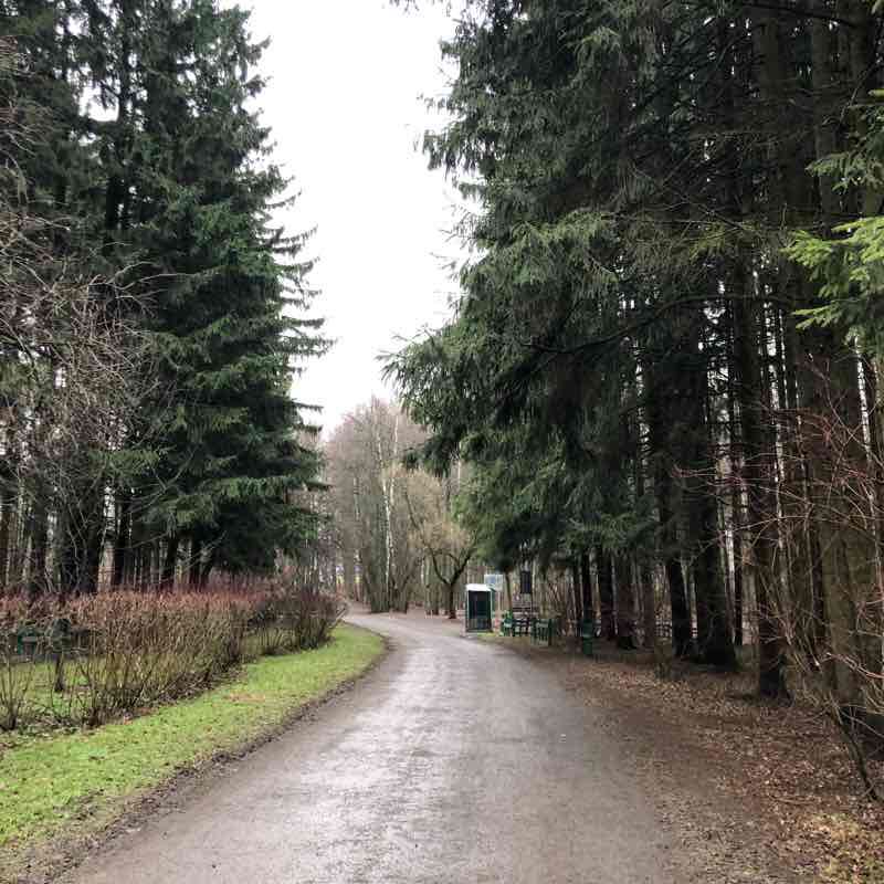 Битцевский лес