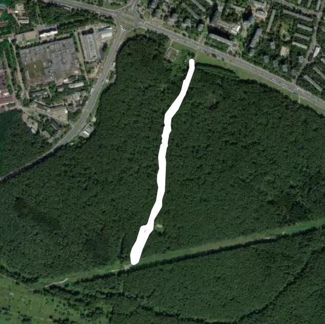 Битцевский лес