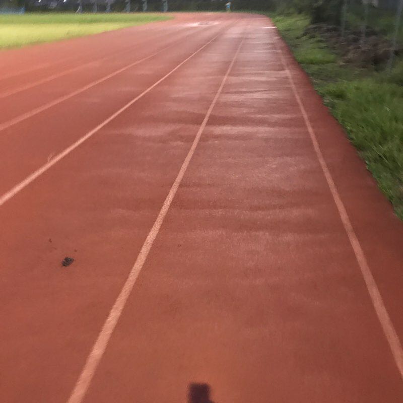 Ceiba Berto Santos track walking route map in Ceiba