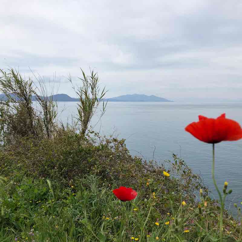 A short ring on the Cavalliggeri path walking route map in Piombino
