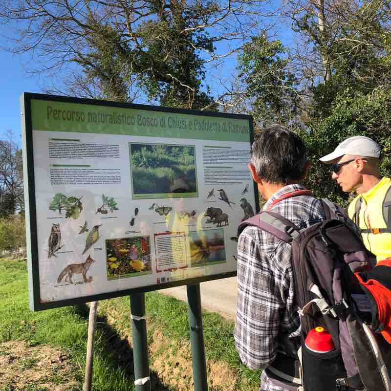 In search of the Flamingos walking route map in San Rocco