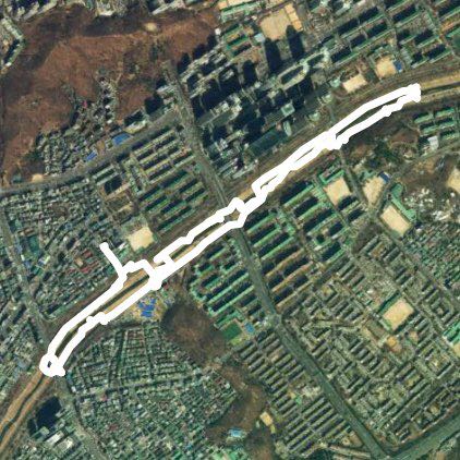 양재천 토요일 걷기