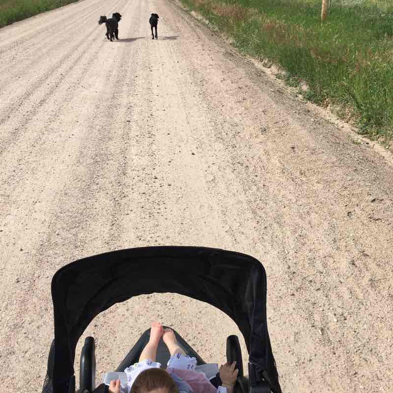 Road walking route map in Bushnell