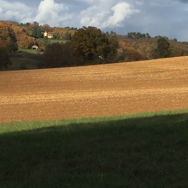 Paunat the guinguette walking route map in Paunat