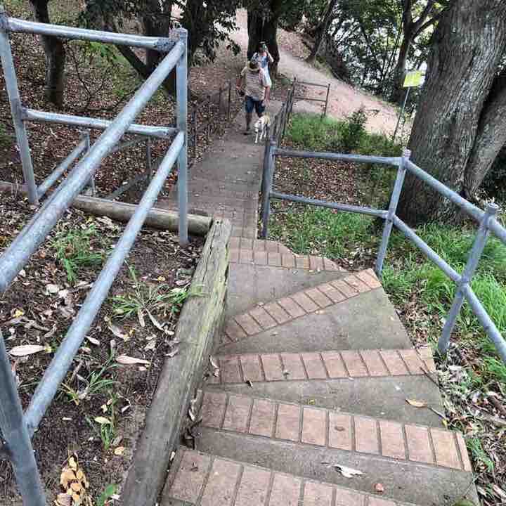 Nepean River Walk walking route map in Emu Plains