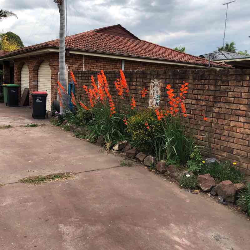 Nepean River Penrith  walking route map in Penrith