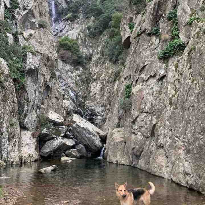Pertuis walking route map in L'Albère